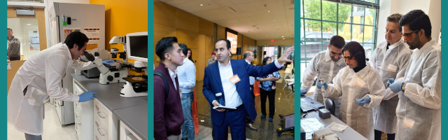 Image for KSA Update: AI BioHub, 5K, and More