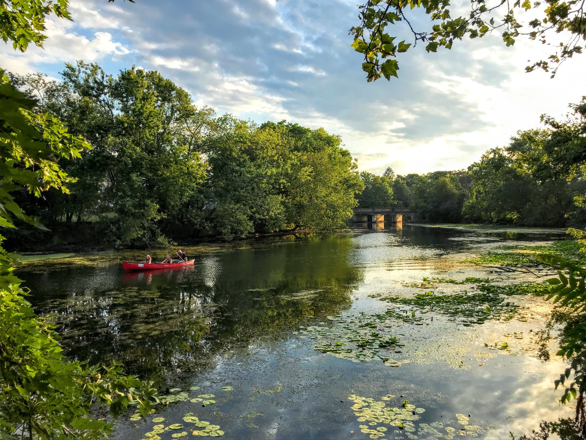 Kayak on a body of water.